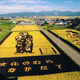 Illustration for article titled Behold These Incredible Artworks Grown from a Rice Field in Japan